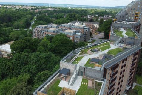 Rooftop Garden