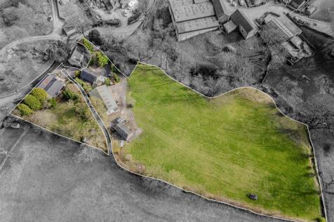 20250319-DJI_0124-Enhanced-SR - Copy (2).jpg