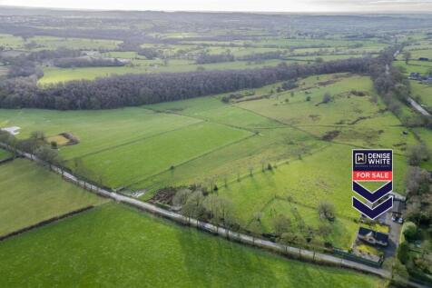 20240223-DJI_0303-Enhanced-SR - Copy.jpg