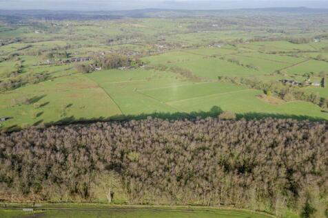 20240223-DJI_0286-Enhanced-SR.jpg