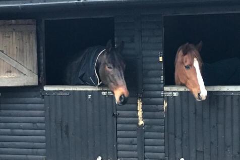 Stables