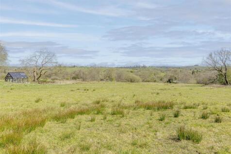 The Land