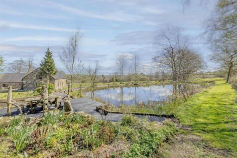 The Pond