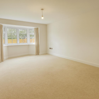 LIVING ROOM CARPET 2.png