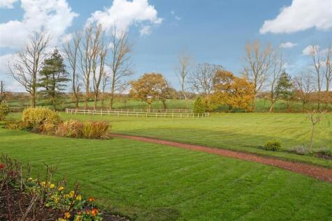 Grounds