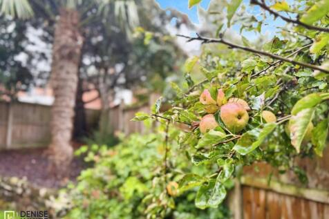 e26ffaa1-WhatsApp 20Image 202025-10-06 20at 2011.0