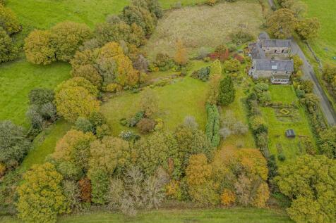 Denise White Estate Agents Comments