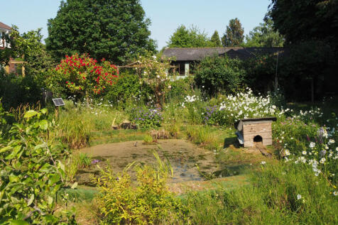 Property Image 50