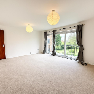 Modern Living Room with Natural Light.png