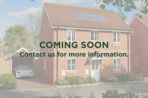 Coming Soon - Rookery.png