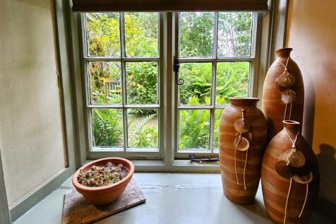 Front Window.jpg