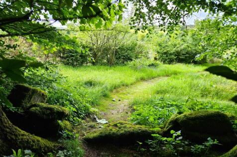 Garden Path.jpg