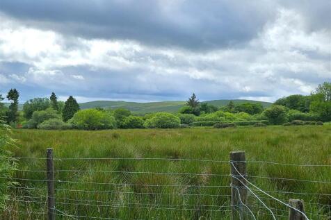 View from garden.jpg