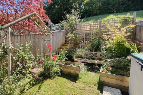Garden in Summer