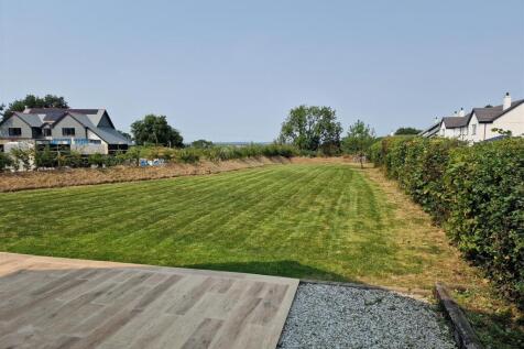 New garden.jpg