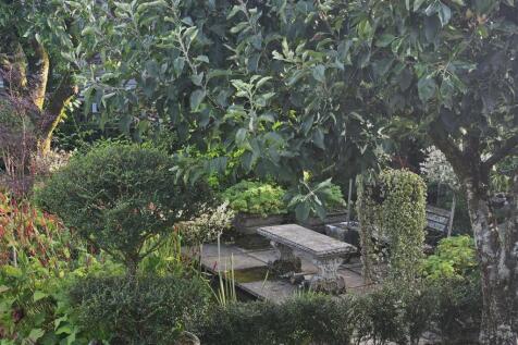 View of Pond Area.jpg