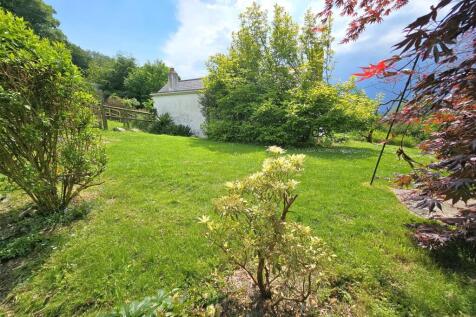 Garden (2).jpg