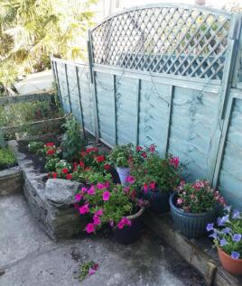 Garden in Summer.jpg