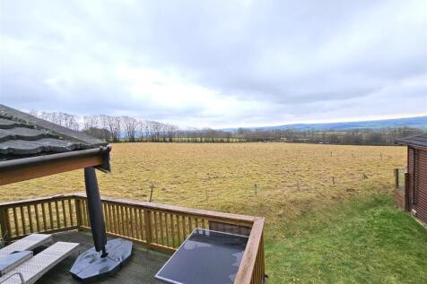 Deck View