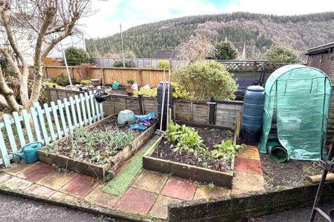 Vegetable Patch.jpeg