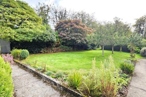 Front Garden.jpg