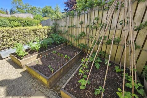Veg Garden.jpg