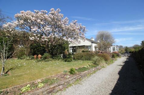 Magnolia