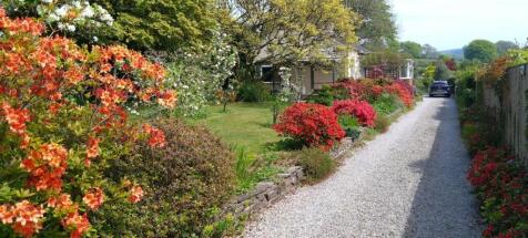 Summer Garden