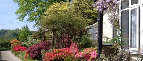 Summer Garden