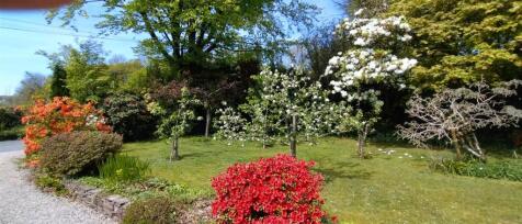 Summer Garden