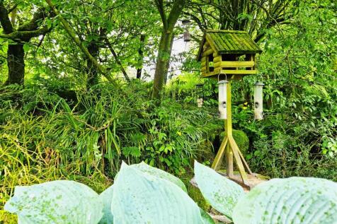 Bird Feeder.jpg