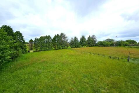 Paddocks 1.jpg