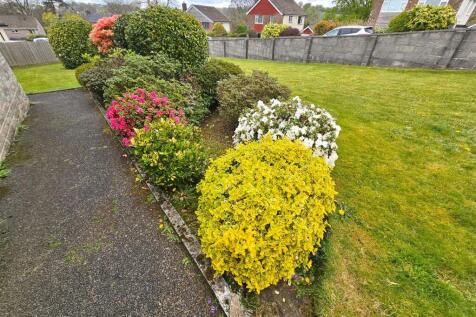 Garden Colour.jpg