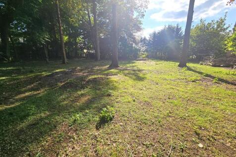 Garden.jpg