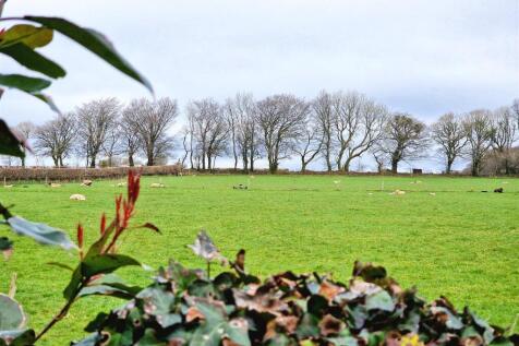 Adjoining Farmland.jpg