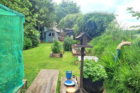 Garden photo.jpg
