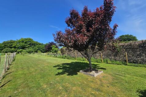 Rear Gardens.jpg