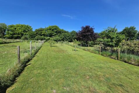 Top Gardens.jpg
