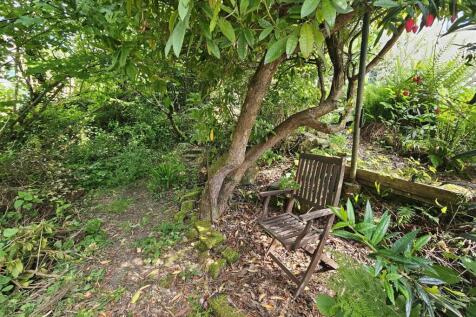 Further Garden.jpg