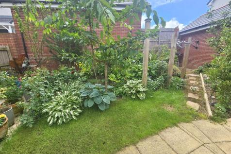 Garden (2).jpg