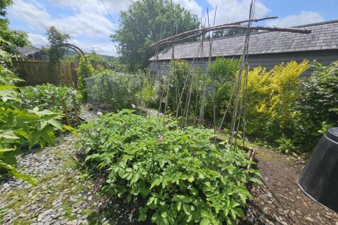 Vegetable Garden.jpg