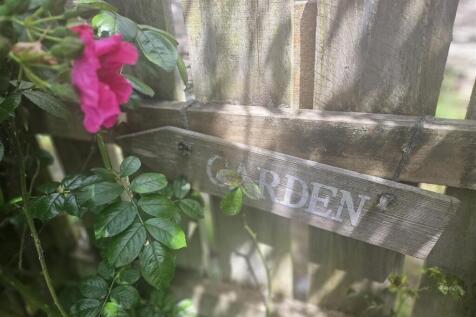 To the Garden.jpg