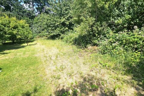 Rear Garden Allotment.jpg