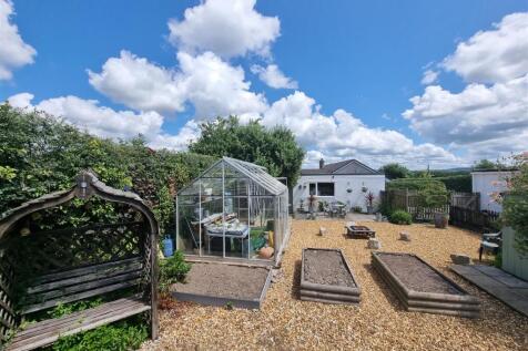 Veg patch.jpg