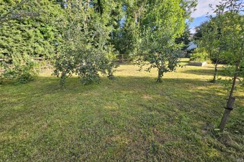 Orchard.jpg