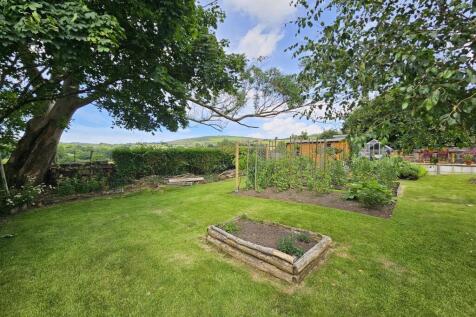 Raised Beds.jpg