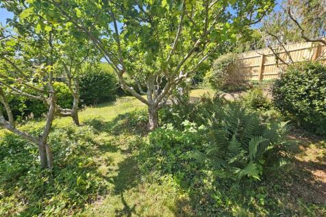 Fruit Trees.jpg