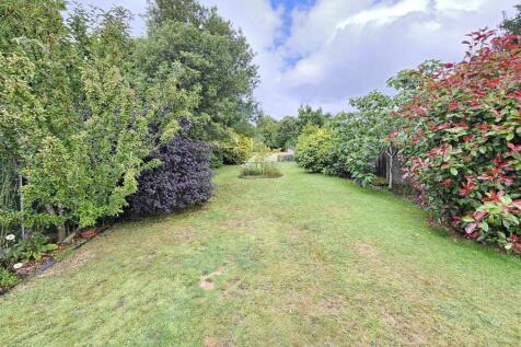 Garden.jpg