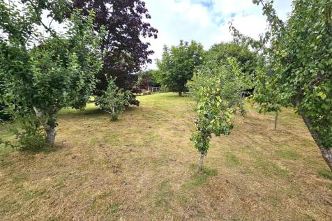 Gardens and Orchard.jpg