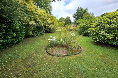 Garden (2).jpg